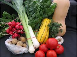 Le choix des aliments