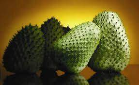 Plantes anti-cancer!