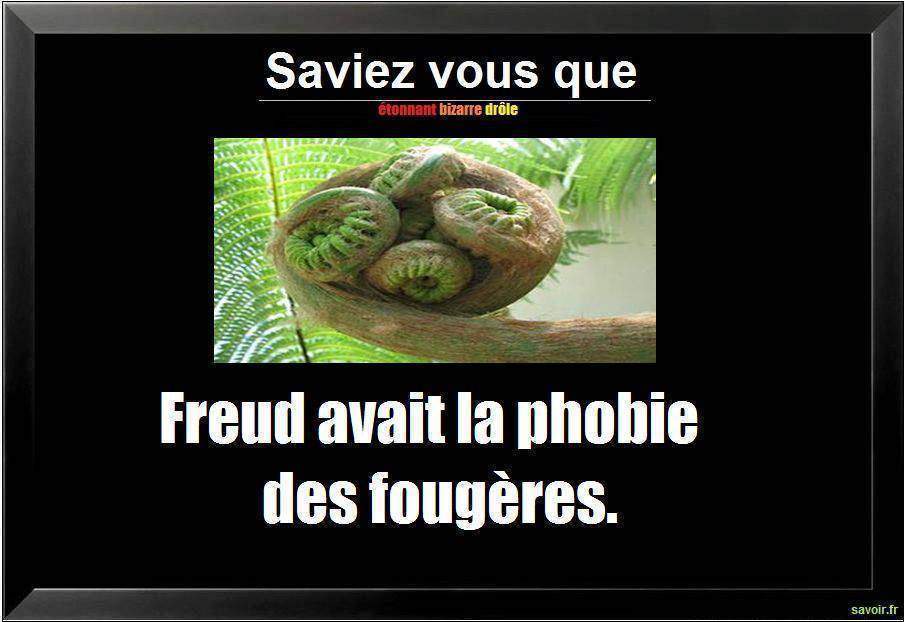 Saviez vous que Freud…