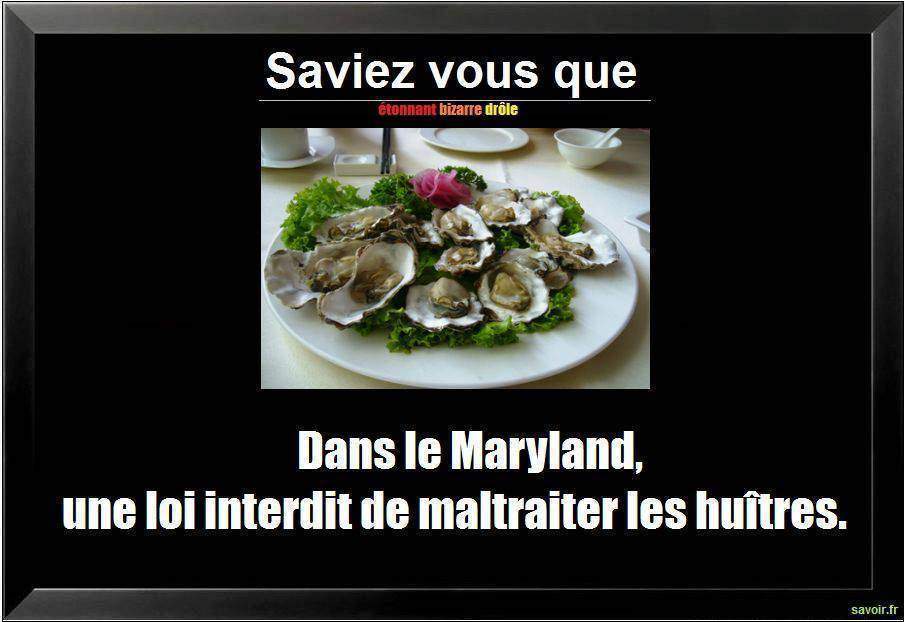 Saviez vous que dans le Maryland,…