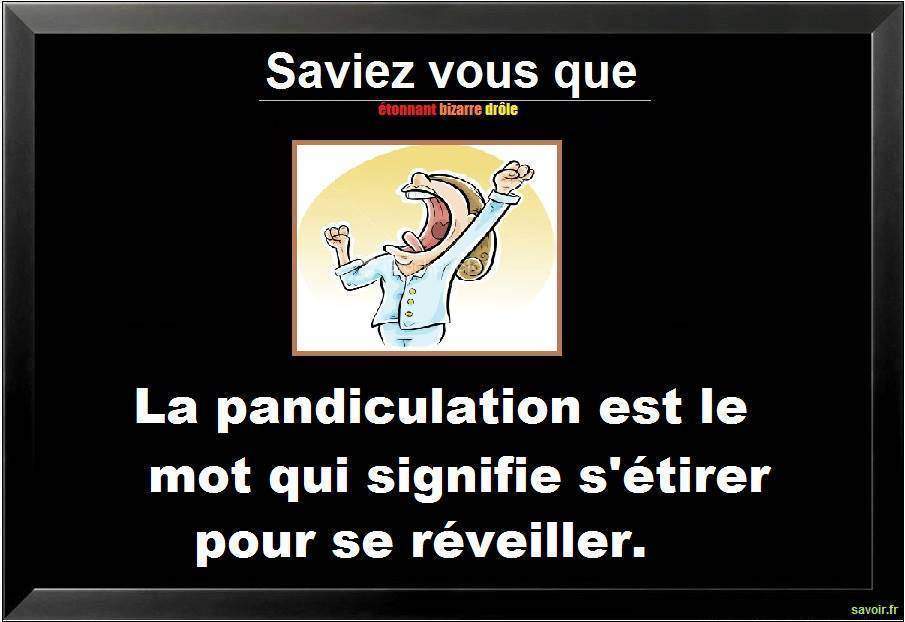 Saviez vous que la pandiculation…