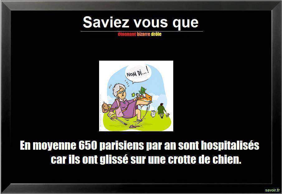 Saviez vous qu'en moyenne 650 parisiens par an…