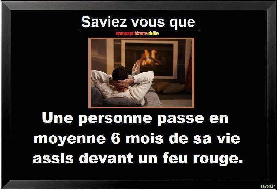 Saviez vous qu'une personne passe en moyenne 6  mois…