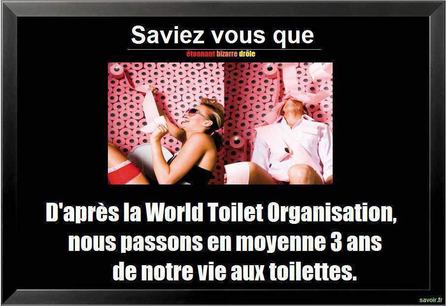 Saviez vous que d'après la World Toilet…