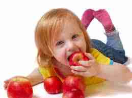 Les Apports Nutritionnels Conseillés (ANC)