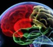 Tout savoir sur la mémoire