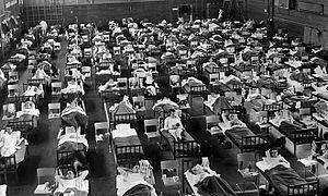 La grippe ennemie intime: Des épidémies