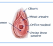 hymen et virginité