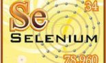 Un-element-du-sexe-le-selenium